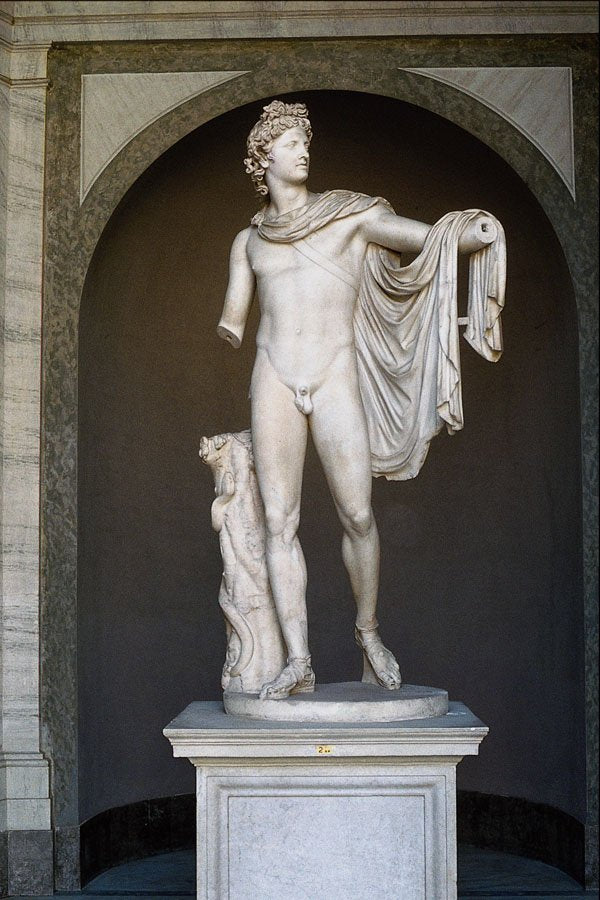 572090 Apollo Belvedere, Vatican Museum, Rome, Italy A4 Photo Print