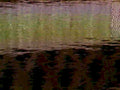 5733001980s 1990s A4 Photo Print