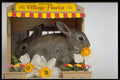 574005 Apricot And Blue Rex Rabbits A4 Photo Print
