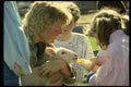 574019 Hand Feeding A Lamb A4 Photo Print