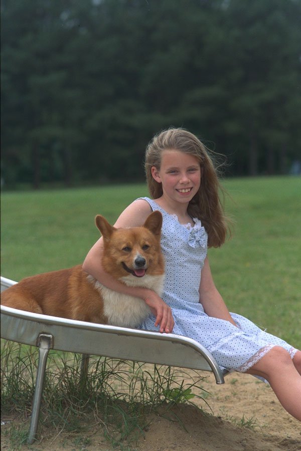 574054 Welsh Corgi A4 Photo Print