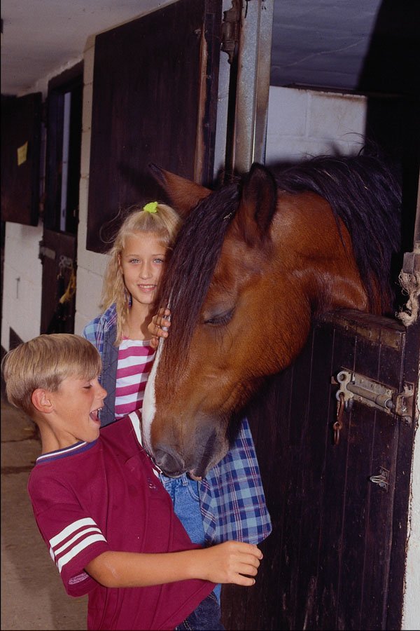 574064 Arthur A4 Photo Print