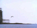 5764001980s 1990s A4 Photo Print