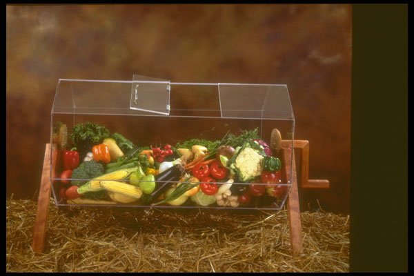 577008 Assorted Vegetables In A Lottery Bin A4 Photo Print