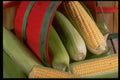 577014 Corn In A Basket A4 Photo Print