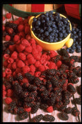 577016 Berries Montage A4 Photo Print
