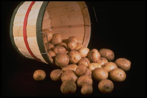 577017 Potatoes In A Basket A4 Photo Print