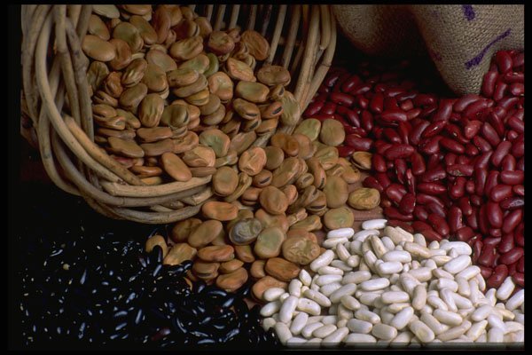 577020 Red Beans, Black And White Canalini Beans A4 Photo Print
