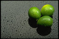 577024 Lime Fruit A4 Photo Print