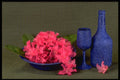 577039 Blue Still Life A4 Photo Print