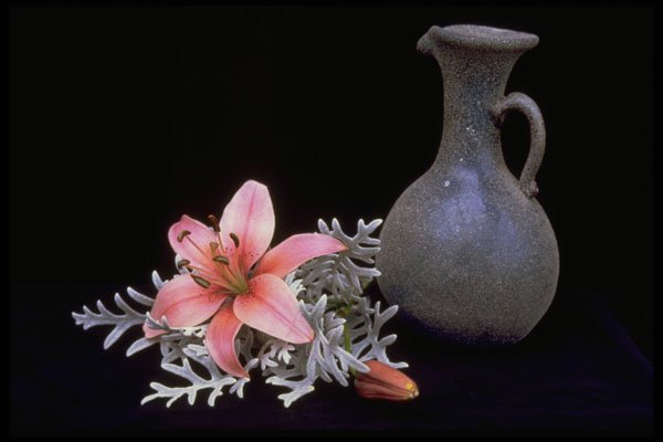 577043 Lily With Blue Jug A4 Photo Print