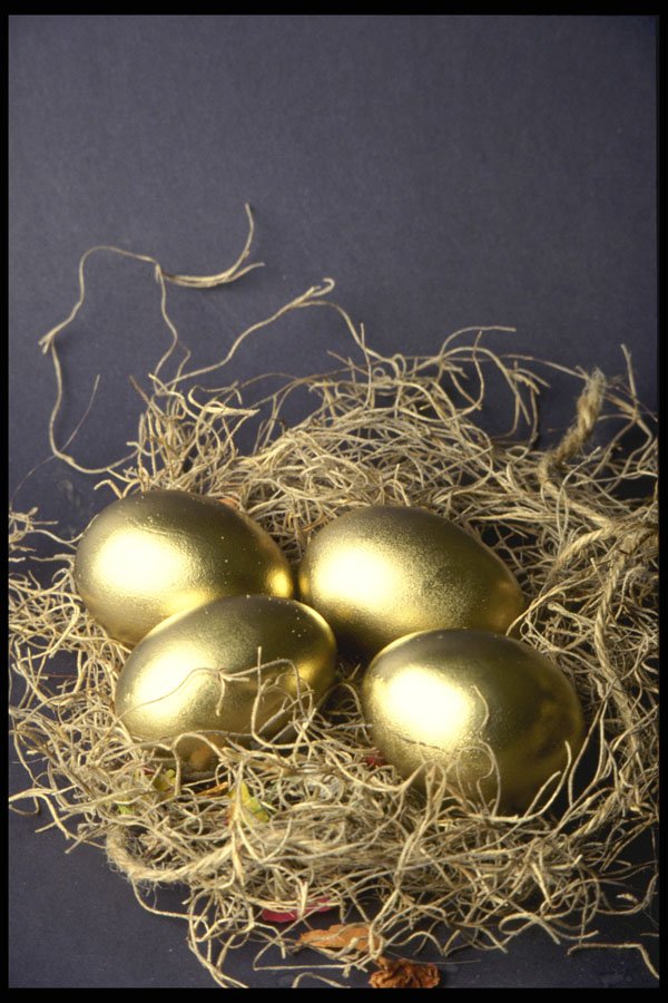 577057 Golden Nest Eggs A4 Photo Print