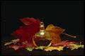 577061 Perfume And Leaves A4 Photo Print