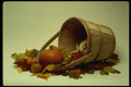 577064 Fall Basket A4 Photo Print