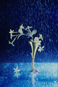 577065 Silver Rain A4 Photo Print
