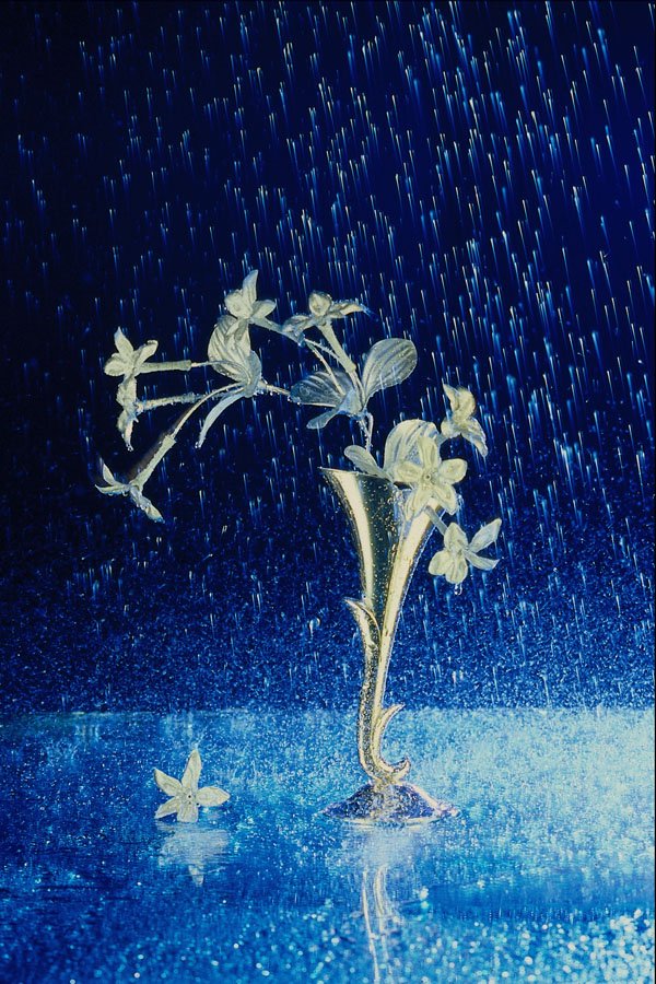 577065 Silver Rain A4 Photo Print