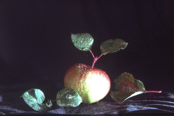 577070 Apple A4 Photo Print