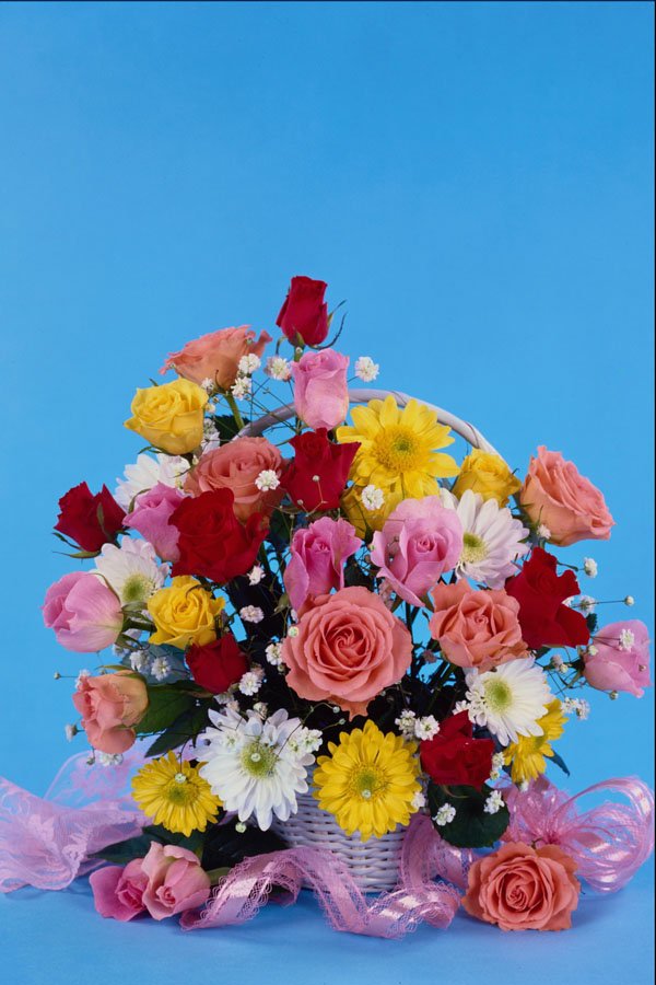 577088 Floral Still Life A4 Photo Print