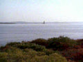 5773001980s 1990s A4 Photo Print