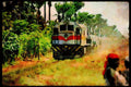 578031 Benguela Railway, Traveling From Lobito To Benguela A4 Limited Edition Watercolour Print