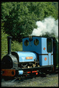 578036 Narrow Gauge Railway, Llanberis A4 Photo Print