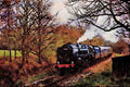 578074 2 20 0 9F Class A4 Limited Edition Watercolour Print