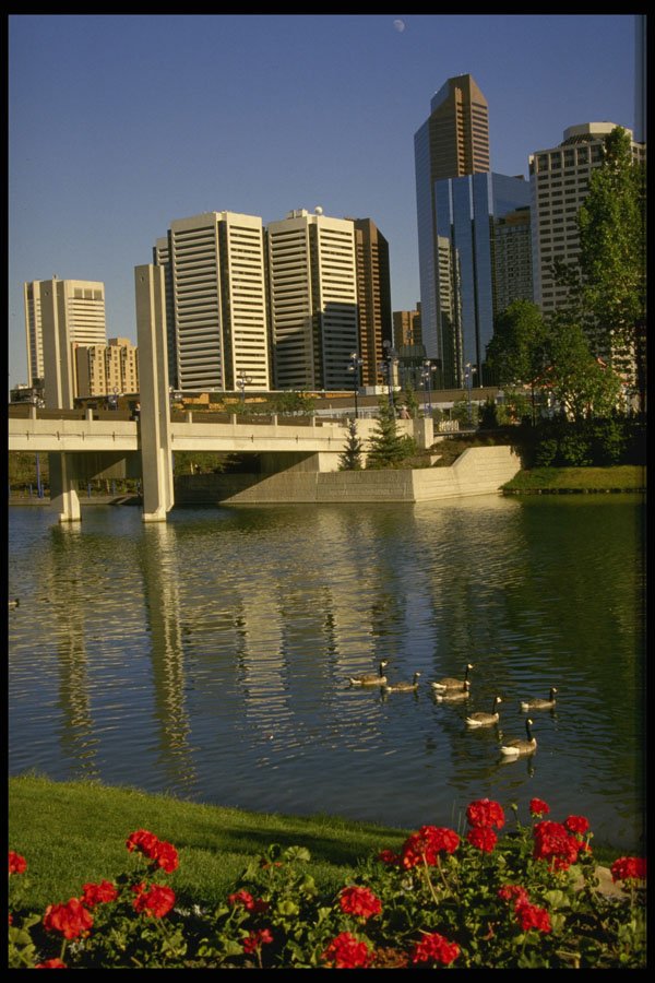 579055 Along The Bow River, Canada A4 Photo Print