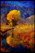 579062 Yellow Tree Reflected, Canal Near Bishop, California A4 Limited Edition Watercolour Print