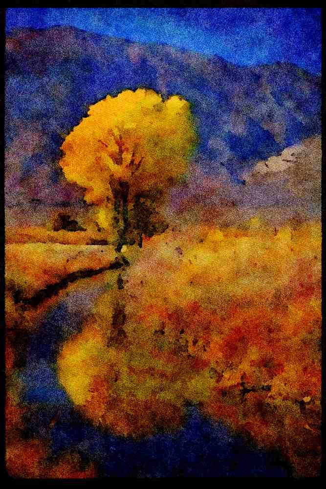579062 Yellow Tree Reflected, Canal Near Bishop, California A4 Limited Edition Watercolour Print