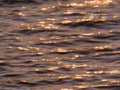 5799001980s 1990s A4 Photo Print