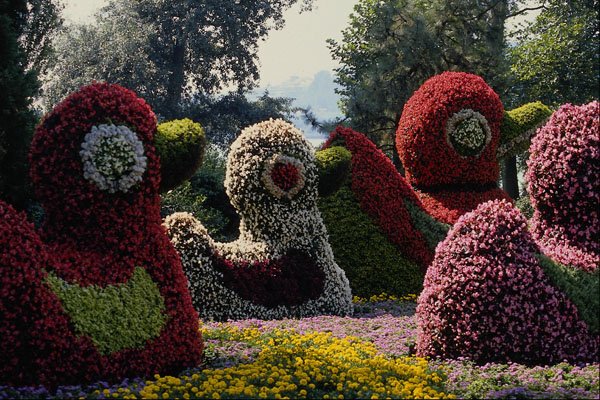 580052 Flower Sculpture, Insel Mainau, Bavaria A4 Photo Print