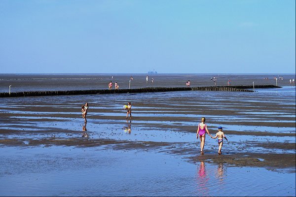 580063 Children In The Mud Flats In The North Sea, Friedrichskoog A4 Photo Print