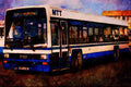 581014 This Merthyr Tydfil _Lynx_ Was A Modern Addition A4 Limited Edition Watercolour Print