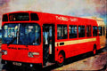 581016 Thomas Of Barry Ran This Leyland In Service From Cardiff, U.K. A4 Limited Edition Watercolour Print