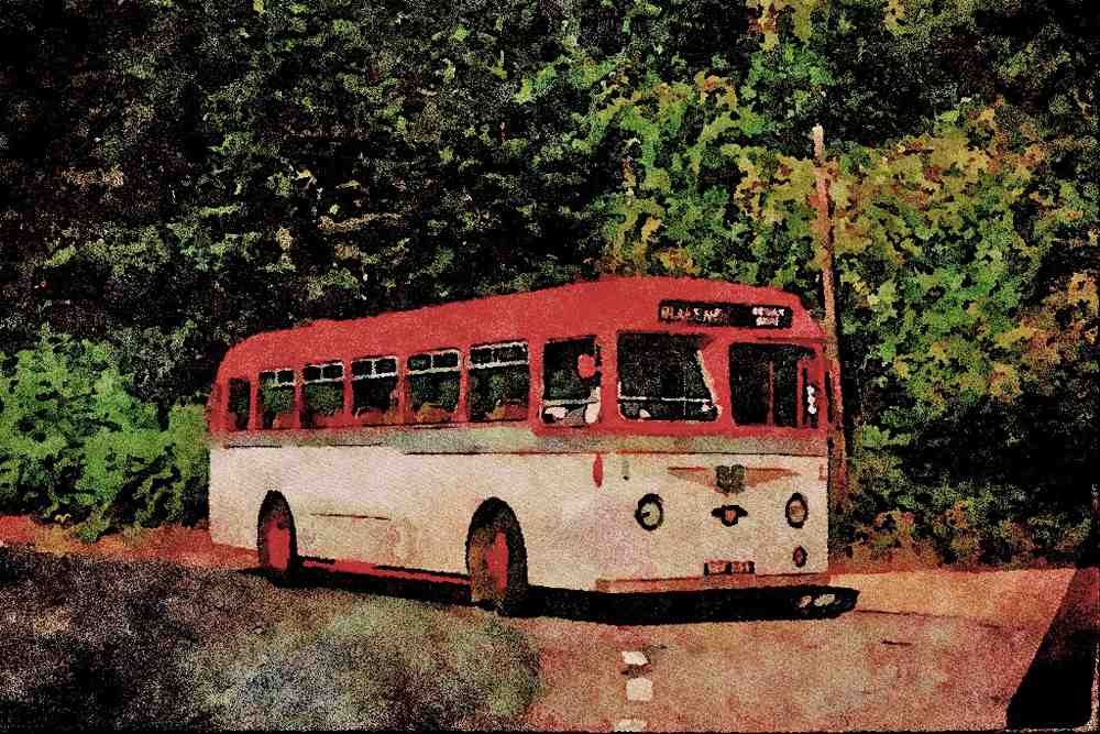 581060 Soudley Valley _Tiger Cub_ Bus Deep In The Forest Of Dean A4 Limited Edition Watercolour Print