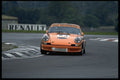 582070 Mustard colored Porsche 911 On Racetrack A4 Photo Print