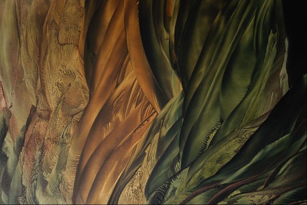 583010 Green And Brown Blades A4 Photo Print