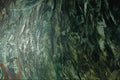 583013 Green Grass A4 Photo Print