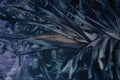 583016 Green Plants A4 Photo Print