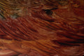 583017 Red Patterns A4 Photo Print