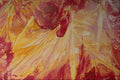 583019 Tropical Yellow And Red A4 Photo Print