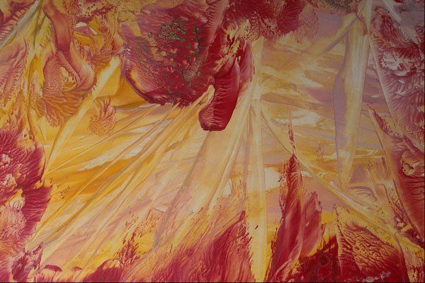 583019 Tropical Yellow And Red A4 Photo Print