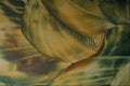 583023 Green Seashells A4 Photo Print