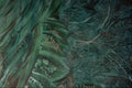 583026 Green Vegetation A4 Photo Print