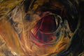 583036 Red Eye A4 Photo Print