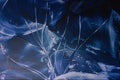 583042 Dark Blue Leaves A4 Photo Print