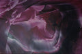 583052 Dark Purple Tunnel A4 Photo Print