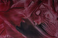 583056 Red Melting Dunes A4 Photo Print