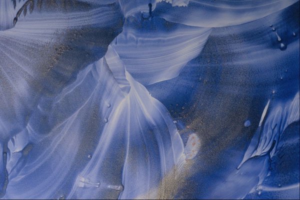 583061 Dark Blue Seashells A4 Photo Print