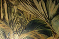 583062 Green Tropical Plants A4 Photo Print